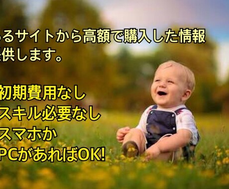 あるサイトで高額で購入した商材を公開！教えます 初期費用なし　スキル必要なしスマホかパソコンがあればOK イメージ1