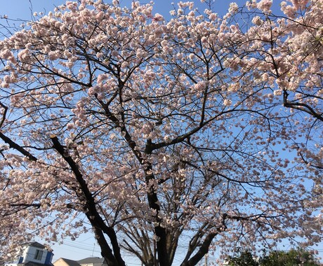 話を聞いて欲しい!その思い受け止めさせて頂きます 抑え込んでいる気持ちを吐き出してみませんか? イメージ1