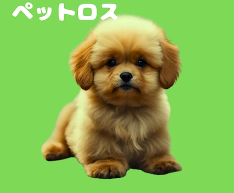 ペットロスの悲しみに寄り添います 愛玩動物看護師の経験のある私が、つらい気持ちを受け止めます イメージ2