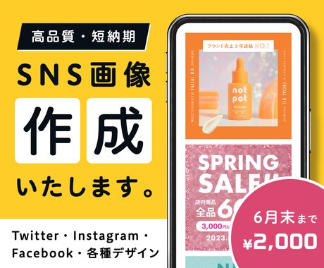 現役広告代理店デザイナーがSNS用画像を制作します イメージ1