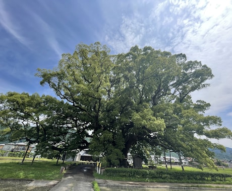 癒しのエネルギー、臼井式レイキをお届けします からだやこころを整えたい、リラックスしたい方へ イメージ1