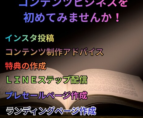 貴方のコンテンツ販売の成功を１からお手伝います 何から始めるのか？その全てが詰まったコンサルティング販売です イメージ2