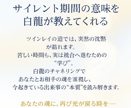 第2弾：白龍チャネリングで霊視します サイレント期間の意味を解き明かします イメージ2