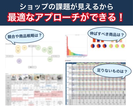 ECのプロがアマゾン/楽天を“戦略的に”運営します PDCAで結果が出る！分析・実務・画像制作がフルセット◎ イメージ2