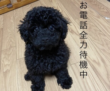 京都弁であなたの話を好きなだけ聞きます はんなりした雰囲気に癒されたい方はぜひおいでやー(^^) イメージ1