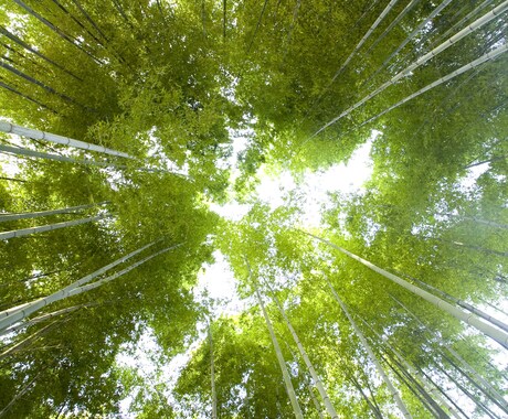 スピリチュアルな話聞きます なかなか人と話せないスピリチュアルな話を聞きます。 イメージ1