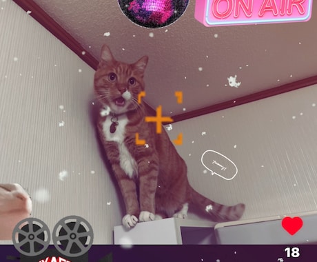 今流行の歌って踊るペットの動画の作り方を教えます ペットの写真をご用意ください、インスタ投稿用動画を作ります イメージ2