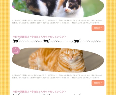 猫ブログと同様のデザインのコーディングを提供します この猫ブログと同じデザインのコードを提供いたします イメージ2