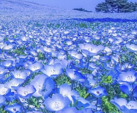 傾聴します 気を遣いすぎて疲れてしまう方へ。 イメージ1