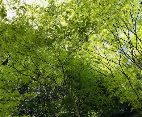 チャネリング・オラクルカードでお悩み解決します 人間関係、恋愛、仕事、健康　等のお悩みを占います イメージ1