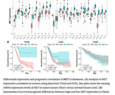 海外の論文、文献、専門誌を見つけます 有料情報を含む海外情報をほぼすべて収集できます。 イメージ2