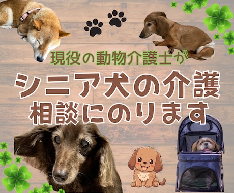 愛しいシニア犬の【飼養・介護】相談にのります 動物介護士・ドッグホテルオーナーが知識と経験で寄り添います イメージ1