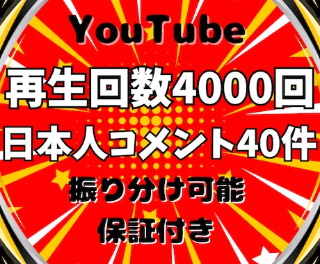 YouTube再生回数＆日本人コメントを増やします 再生回数+4000回＆日本人コメント+40件➡4,000円✨ イメージ1