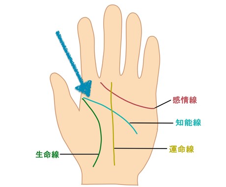 ワンコインで知能線(頭脳線)のセルフ鑑定教えます 知能線(頭脳線)の定義、意味することとは?! イメージ1