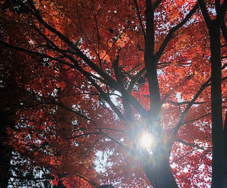 気になるあの人の気持ち占います 片想い、両思い、ご夫婦、仕事の仲間、どなたでもOKです！ イメージ1
