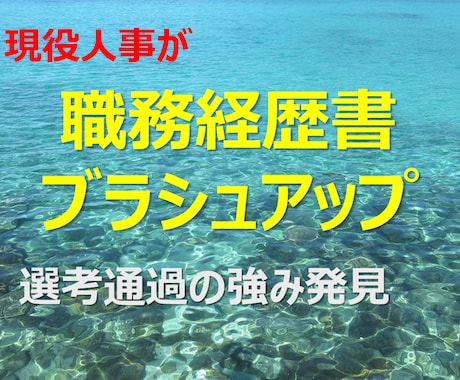 現役人事が職務経歴書ブラシュアップと強み発見します 転職 応募書類は人事視点と強み明確化で選考通過できる！ イメージ1