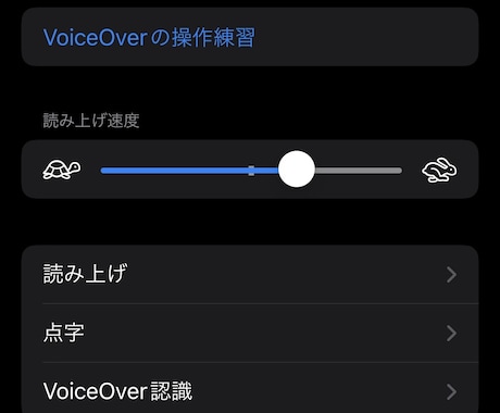 VoiceOverの設定と習得のお手伝いをします 視覚障害者もiPhone・iPadを使いこなそう♬ イメージ2