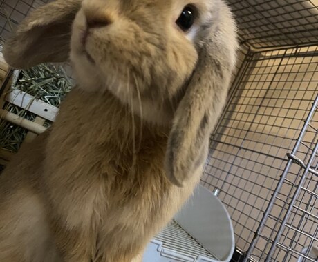 あなたのお話しなんでも聞きます ちょっとした愚痴からしっかり恋愛話まで是非お話しましょう！ イメージ2