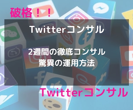 破格！プロが３０日間Twitterコンサルします インフルエンサーがガチでTwitterコンサルします イメージ1