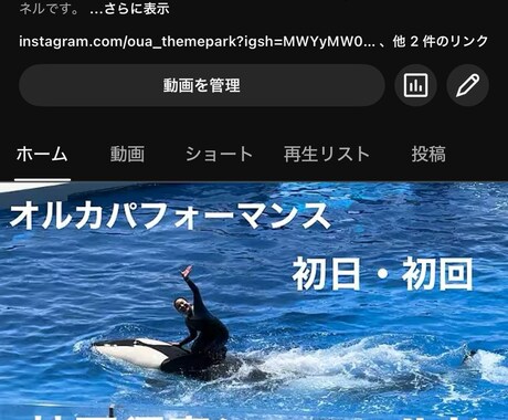 USJの相談なんでも受けます 回り方・ショー・推し活まで幅広く対応 イメージ2