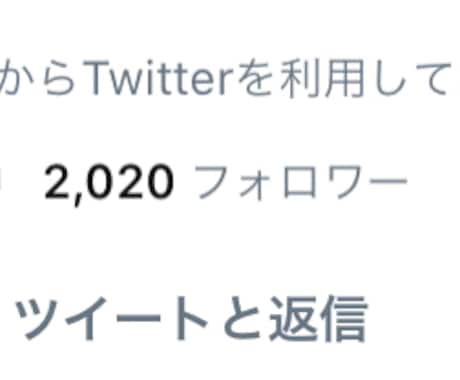 Twitter日本人フォロワー1000人増やします 1番大変な1000人の壁を超えるお手伝い、オプションも イメージ2