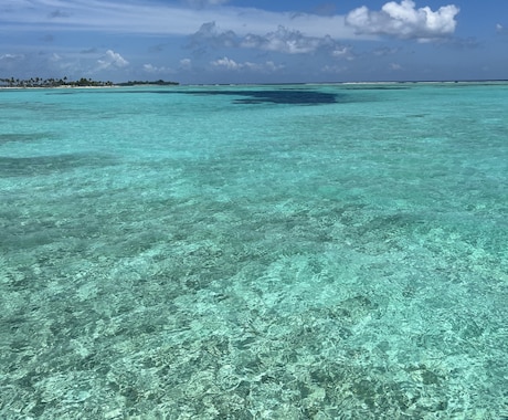 格安で転職支援します 様々な企業の紹介可能！まずはお気軽にお話しから！ イメージ1