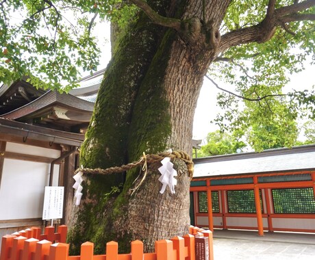 理解、共感してほしい悩みのお話しお聞きします 育児の悩み、夫婦関係、不倫、人間関係、鬱のお悩みお聞きします イメージ1