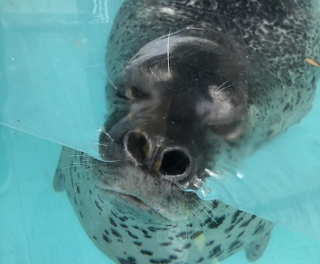 現役カウンセラーが守秘義務厳守で寄り添います 人間関係・恋愛・仕事の愚痴、悩み、不安から雑談まで何でもOK イメージ2