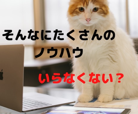 ノウハウコレクターから脱出する方法教えます ノウハウコレクターの私が脱出できたのはある簡単なことでした イメージ1