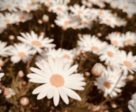 にほんごをべんきょうちゅうのひとをおうえんします にほんごのはなしあいてをします イメージ1