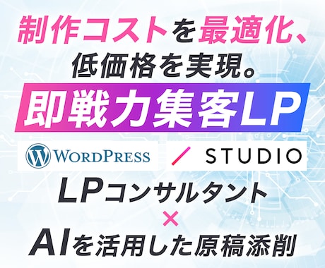 5名様限定価格！低コストでプロ仕様のLPつくります WordPress、STUDIOで簡単カスタマイズ可能なLP イメージ1