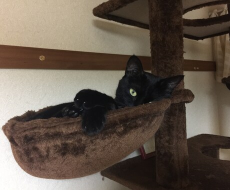 話し相手になります 。。。話してスッキリ(´・∀・)/アウトプット☆ イメージ2