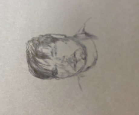 自画像 ボールペン字描きます ボールペンの細かい線で生きている様な自画像 画像紙色選べます イメージ1