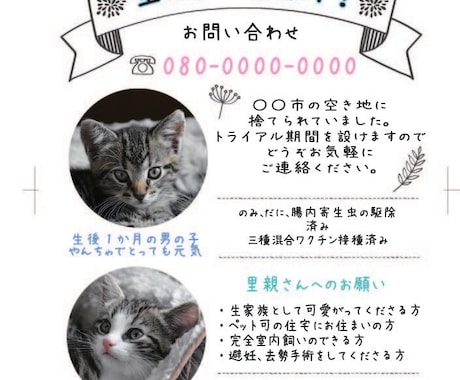 里親募集のチラシを作ります 見やすいチラシで素敵な里親さん探しのお手伝いをします イメージ1