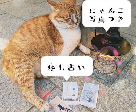 にゃんこから癒しのタロットメッセージをお送りします つらい時、そっと背中を押してくれる“にゃんこからの贈り物” イメージ1