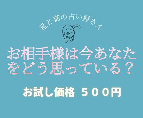 お試し！推し様が今貴方をどう思っているか占います あなただけの推し様との物語を詠み解きます。 イメージ1
