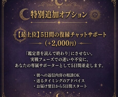 復縁の徹底解剖と攻略指針で再び愛される道を届けます 彼の本音を3,000文字で代弁。3ヶ月の運勢カレンダー付 イメージ2
