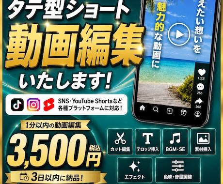 TikTokなど、縦型ショート動画の編集を承ります 1分以内のショート動画を3,500円で編集いたします。 イメージ1