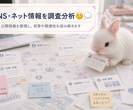SNSやネットの情報の調査・分析・整理をします 公開情報をもとに、人物・企業・サービスなどを調査・分析します イメージ1