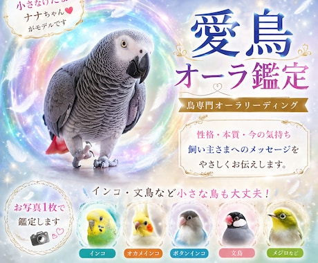あなたの愛鳥オーラを画像にします 鳥のオーラにも、飼い主様へのメッセージが隠されています イメージ2