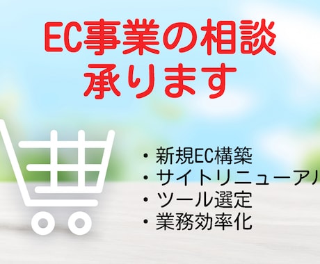 EC事業者様向け サイト運用の困り事にお答えします 売上拡大や日々の運用など、ここが良くなったらなぁを改善します イメージ1