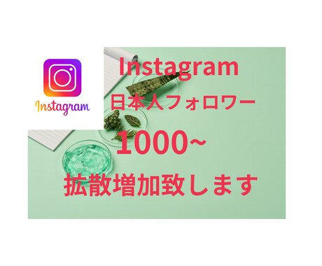 Instagram日本人フォロワー増加します 独自のルートで増加するまで拡散致します。 イメージ1