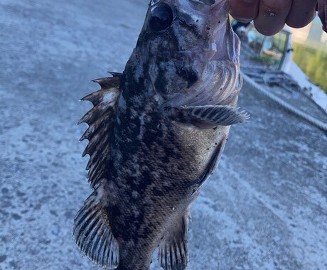 元釣具屋店員が北海道での海釣りを教えます 釣りを始めてみたい初心者の方向けです！ イメージ1