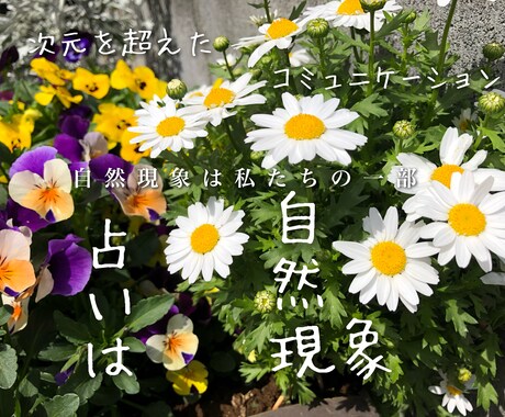 チャネリングタロットワンオラクル鑑定致します 知りたいことの一問一答です＾＾☆ イメージ1