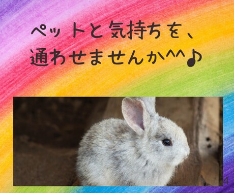 ペットの意識と繋がって、気持ちをお伝えします ペットの気持ちを知って、もっともっと絆を深めませんか？ イメージ2