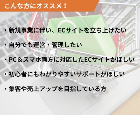 売上拡大！Shopifyネットショップ立ち上げます スピーディーで丁寧！集客力抜群のECサイトをお届けします！！ イメージ2