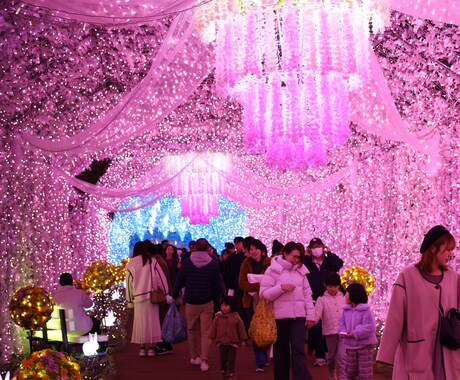 完全オーダーメイドで予算別旅行プラン提案します 行き先・交通・宿泊までまとめて提案｜国内対応 イメージ2