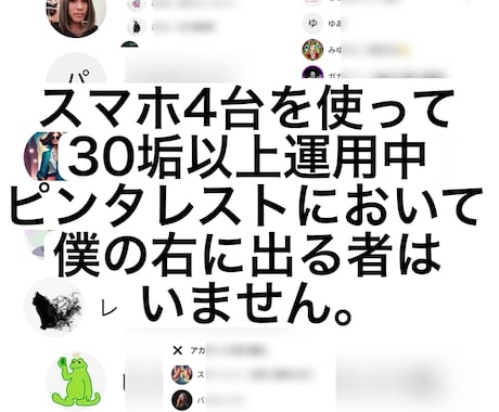 SEO無視でOK！ピンタレスト特化ブログ術教えます サブブログ収益が1年で約6倍！ここでしか得られない禁断の情報 イメージ2