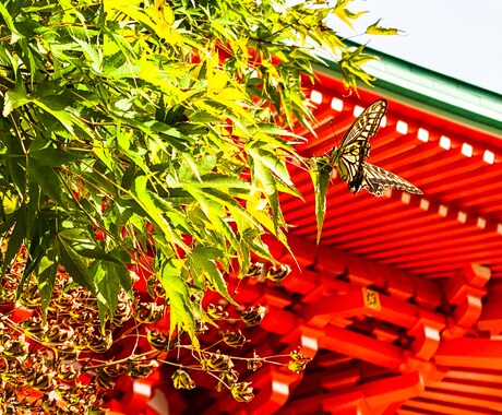 東京都内の写真を撮ってきます 東京都出来になる場所があれば現地調査としてでも写真を撮ります イメージ2