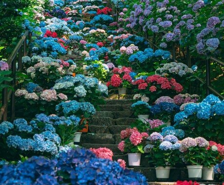あなたに花を咲かせるヒーリングをします あなただけの花を。オーラの花を育てましょう。 イメージ2